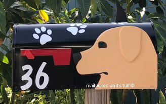 golden retriever dog head on mailbox