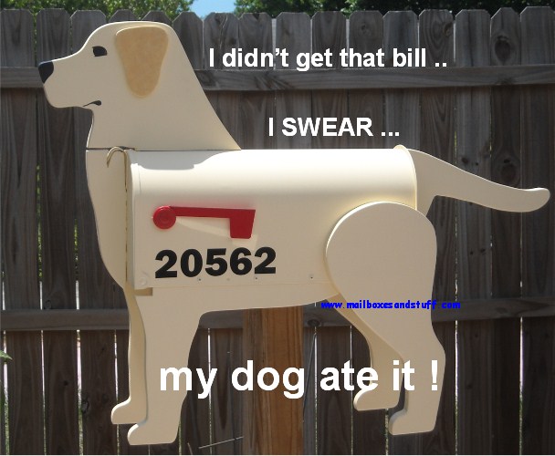 My Dog ate my Bill