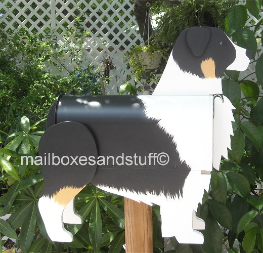 Australian Shepherd mailbox, dog mailbox shaped and painted like an Australian Shepherd, dog mailboxes