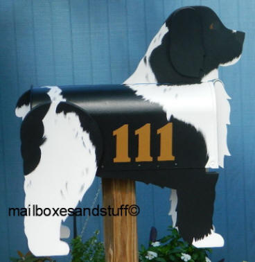Custom painted Cockapoo mailbox with house numbers added