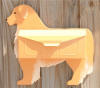 Golden Retriever Wallmount mailbox